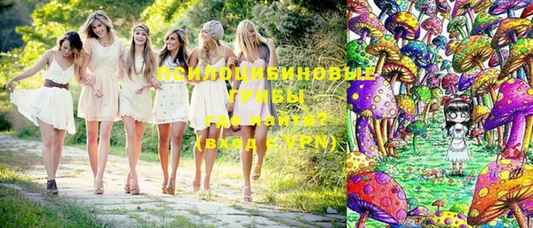 мяу мяу кристалл Переславль-Залесский