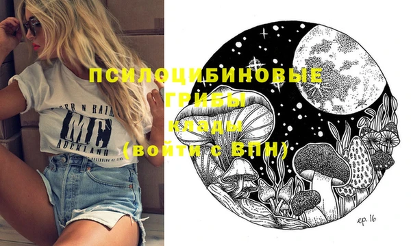 мяу мяу кристалл Переславль-Залесский