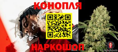 spice Кунгур