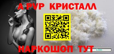 spice Кунгур