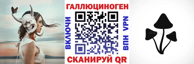 купить   Лысьва  Галлюциногенные грибы Cubensis 