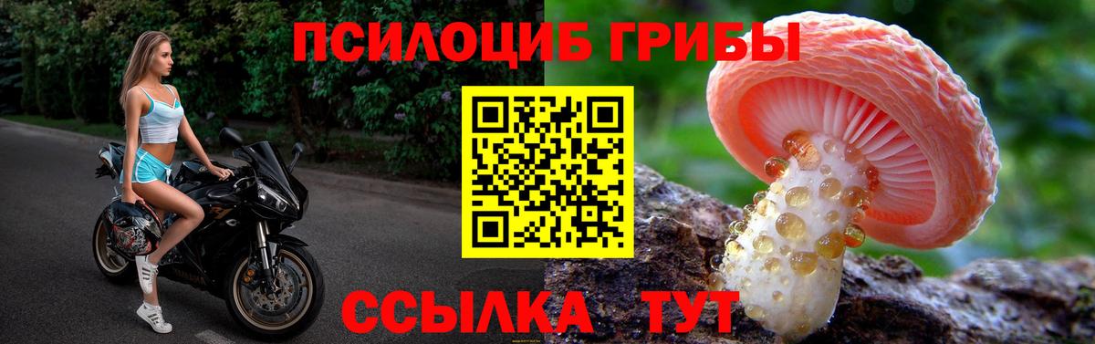 Галлюциногенные грибы MAGIC MUSHROOMS  Лысьва 