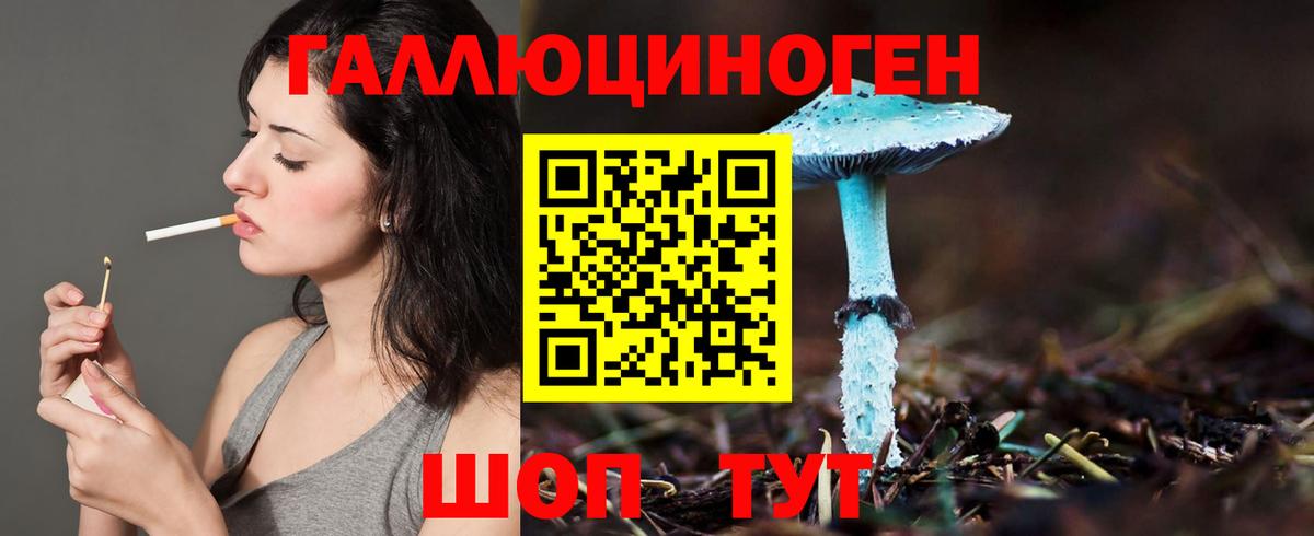 Псилоцибиновые грибы Psilocybe Лысьва