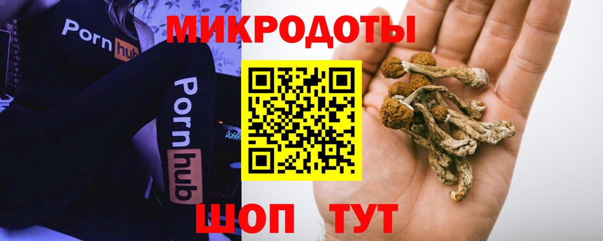 Псилоцибиновые грибы Psilocybe  Вход с VPN  Лысьва 